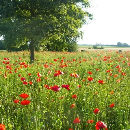 לינה וארוחת בוקר La Vallee Des Trois Monts Saint-Sylvestre-Cappel