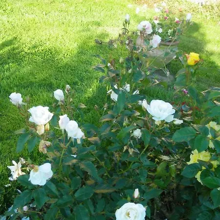 La Vallee Des Trois Monts Bed & Breakfast Saint-Sylvestre-Cappel
