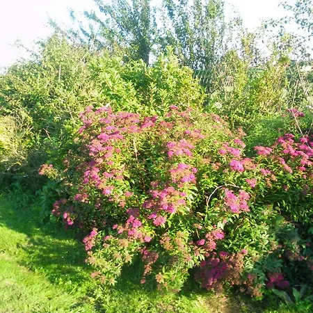 La Vallee Des Trois Monts לינה וארוחת בוקר