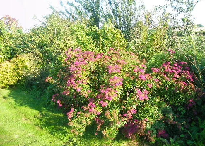 La Vallée Des Trois Monts Bed & Breakfast